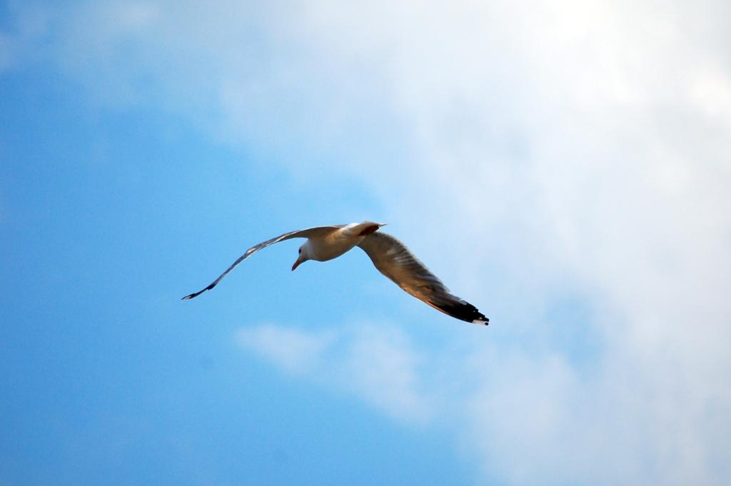 DSC_3371.JPG