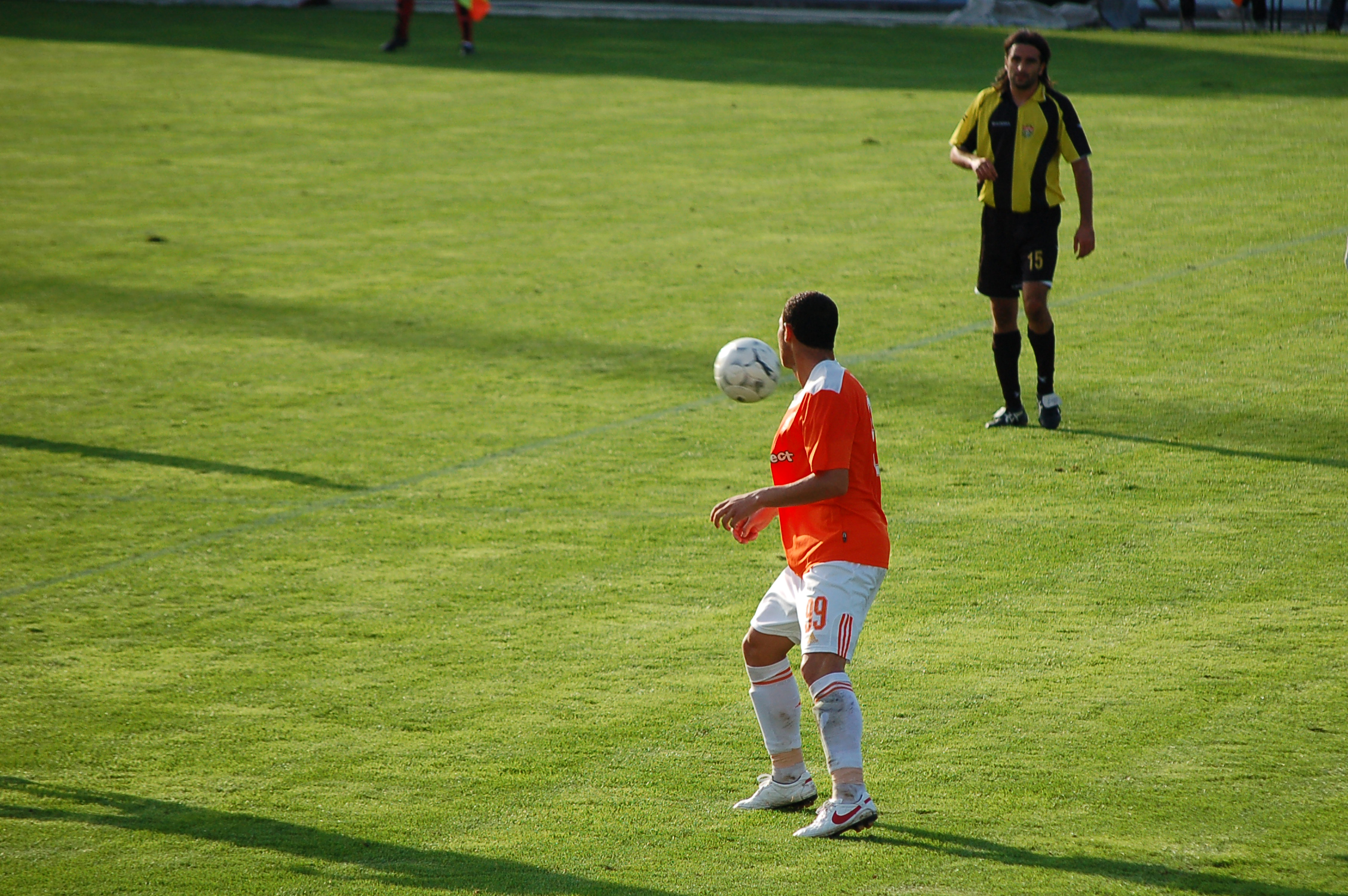 DSC_8261.JPG