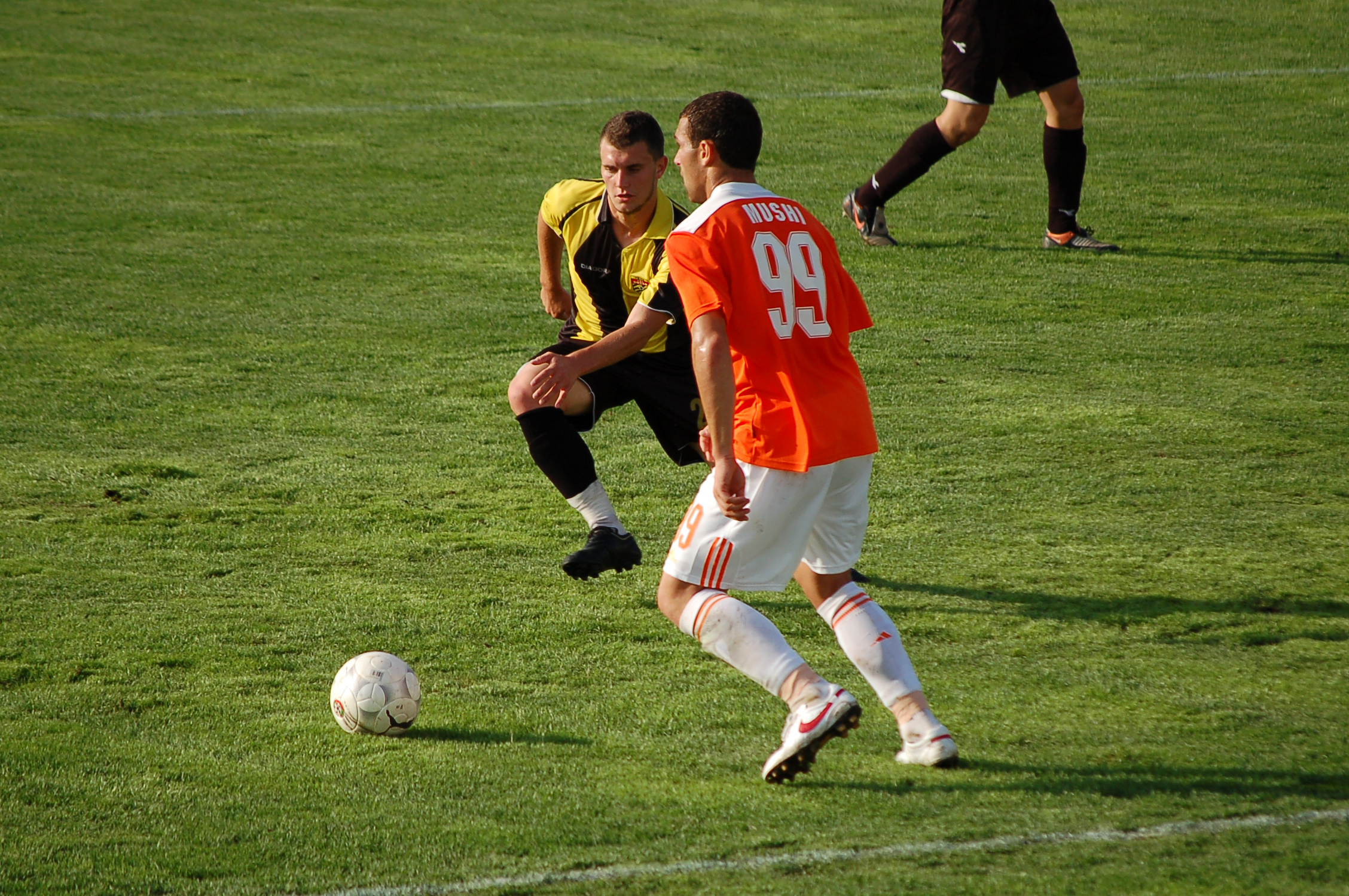 DSC_8266.JPG