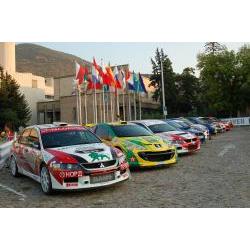 Rally Sliven 2008