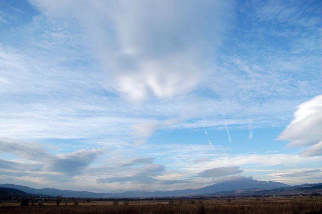 DSC_4217.JPG