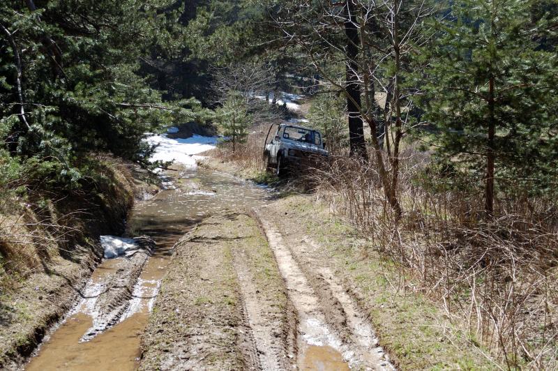 DSC_7924.JPG